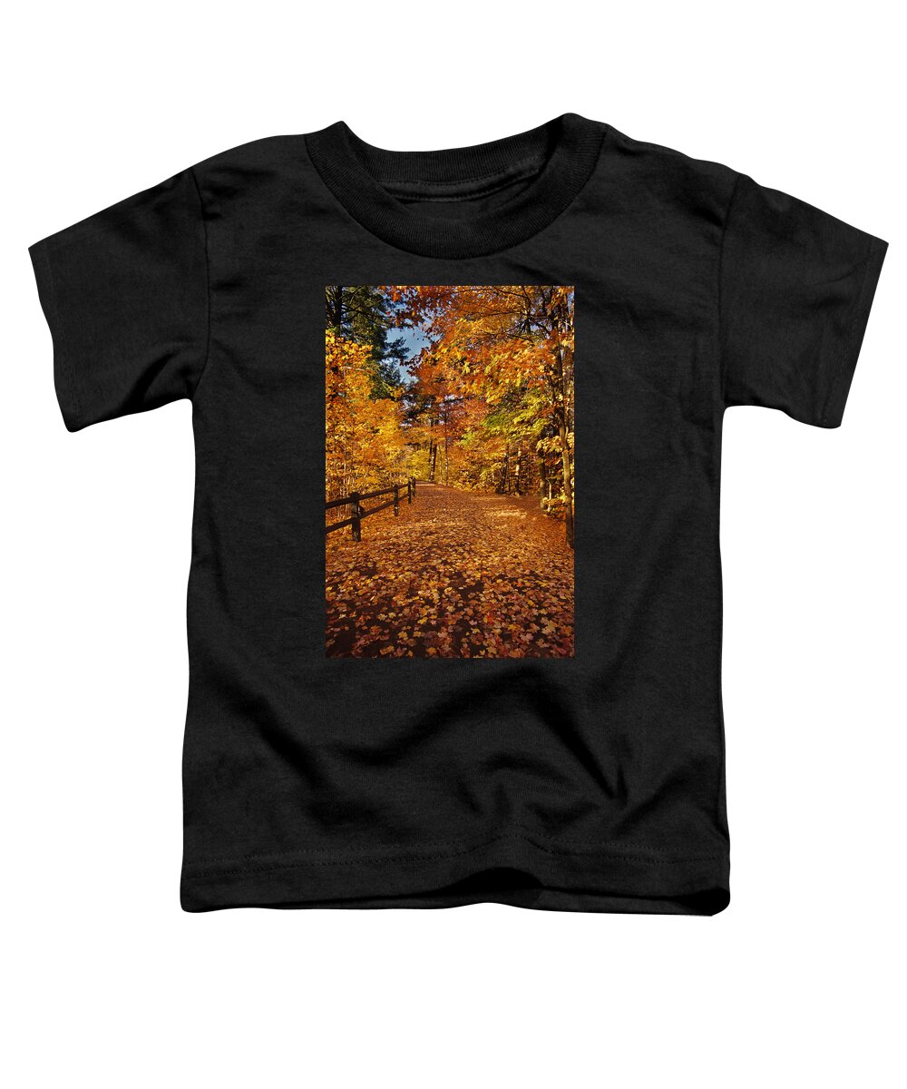 Fall Toddler T-Shirt featuring the photograph Golden Path by Ron Weathers