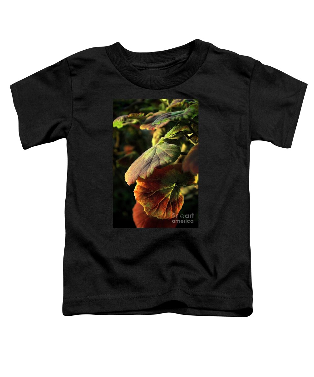 Orange Toddler T-Shirt featuring the photograph Geranium Leaves #1 by Ellen Cotton