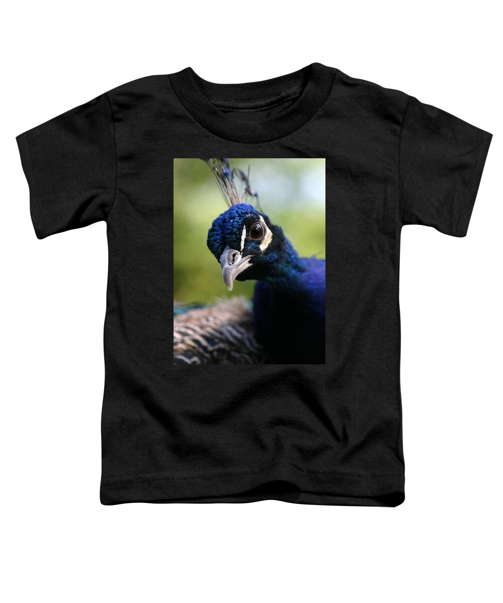 Peacock Toddler T-Shirt featuring the photograph Peek A Boo by Karol Livote