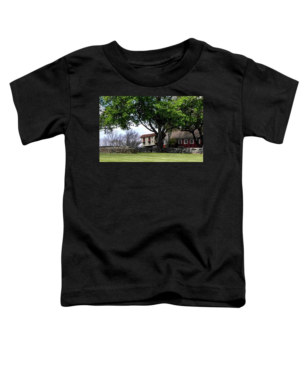 Wagon Wheel Trailer Toddler T-Shirt featuring the photograph Spring in the country by Kim Galluzzo Wozniak