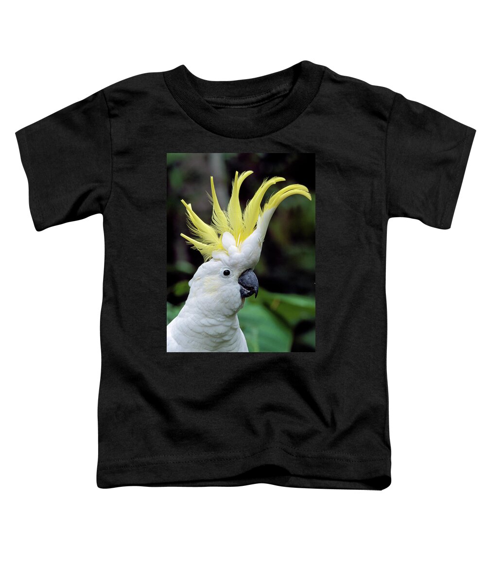 00785496 Toddler T-Shirt featuring the photograph Sulphur-crested Cockatoo Cacatua by Thomas Marent