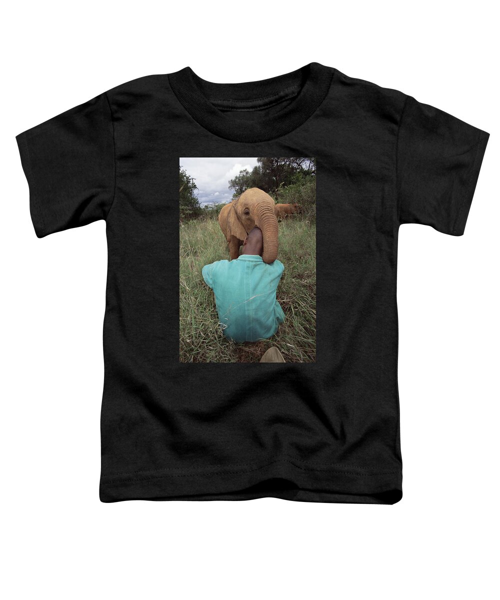 Mp Toddler T-Shirt featuring the photograph African Elephant Loxodonta Africana #10 by Gerry Ellis
