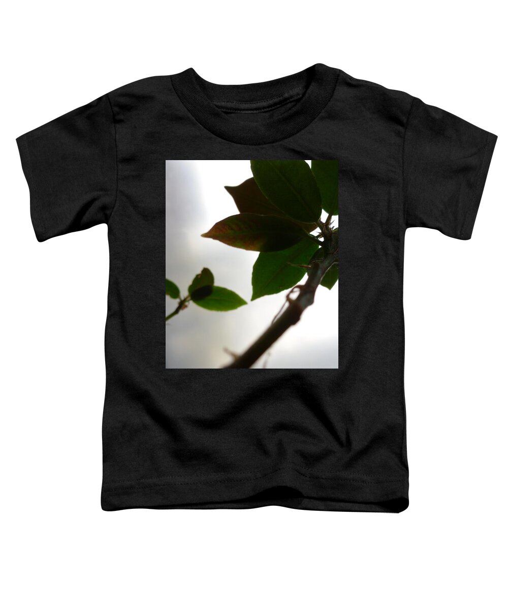  Toddler T-Shirt featuring the photograph My room up close 1 #11 by Myron Belfast