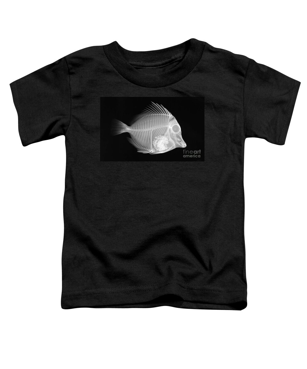 Fish Toddler T-Shirt featuring the photograph Butterfly Fish X-ray #2 by Ted Kinsman