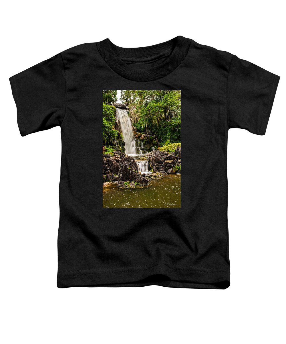 Christopher Holmes Photography Toddler T-Shirt featuring the photograph 20120915-dsc09800 by Christopher Holmes
