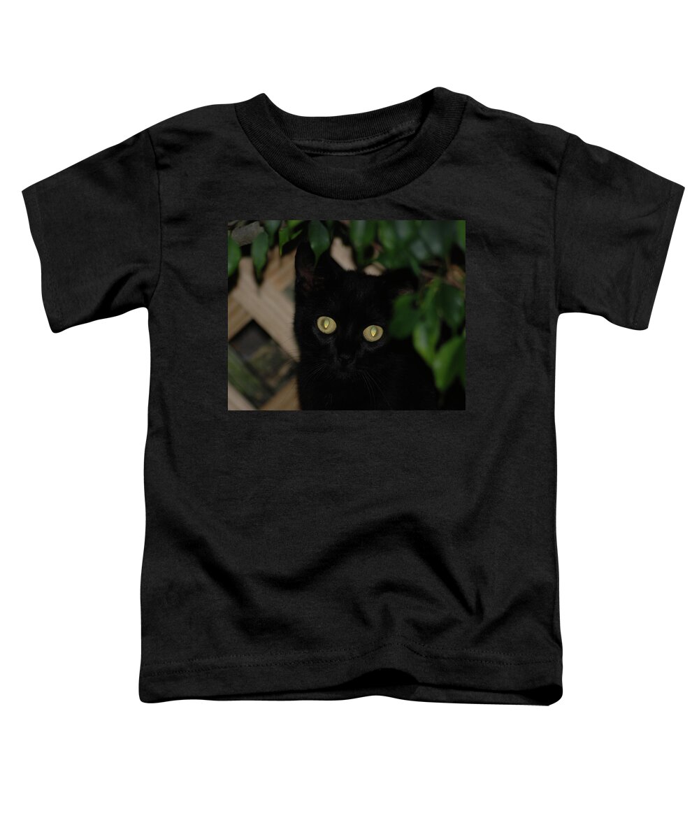 Black Cat Toddler T-Shirt featuring the photograph 5- Transfixed by Joseph Keane