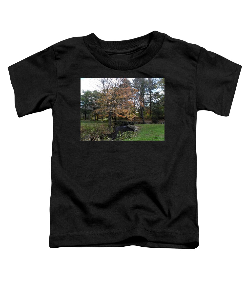 Serene Toddler T-Shirt featuring the photograph A Serene Setting by Kim Galluzzo