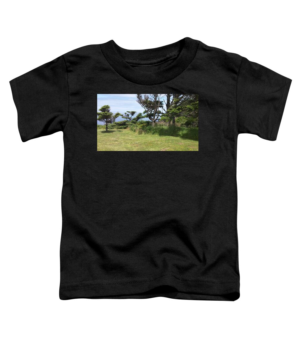 Nature Toddler T-Shirt featuring the photograph Afternoon Magic by Quin Sweetman