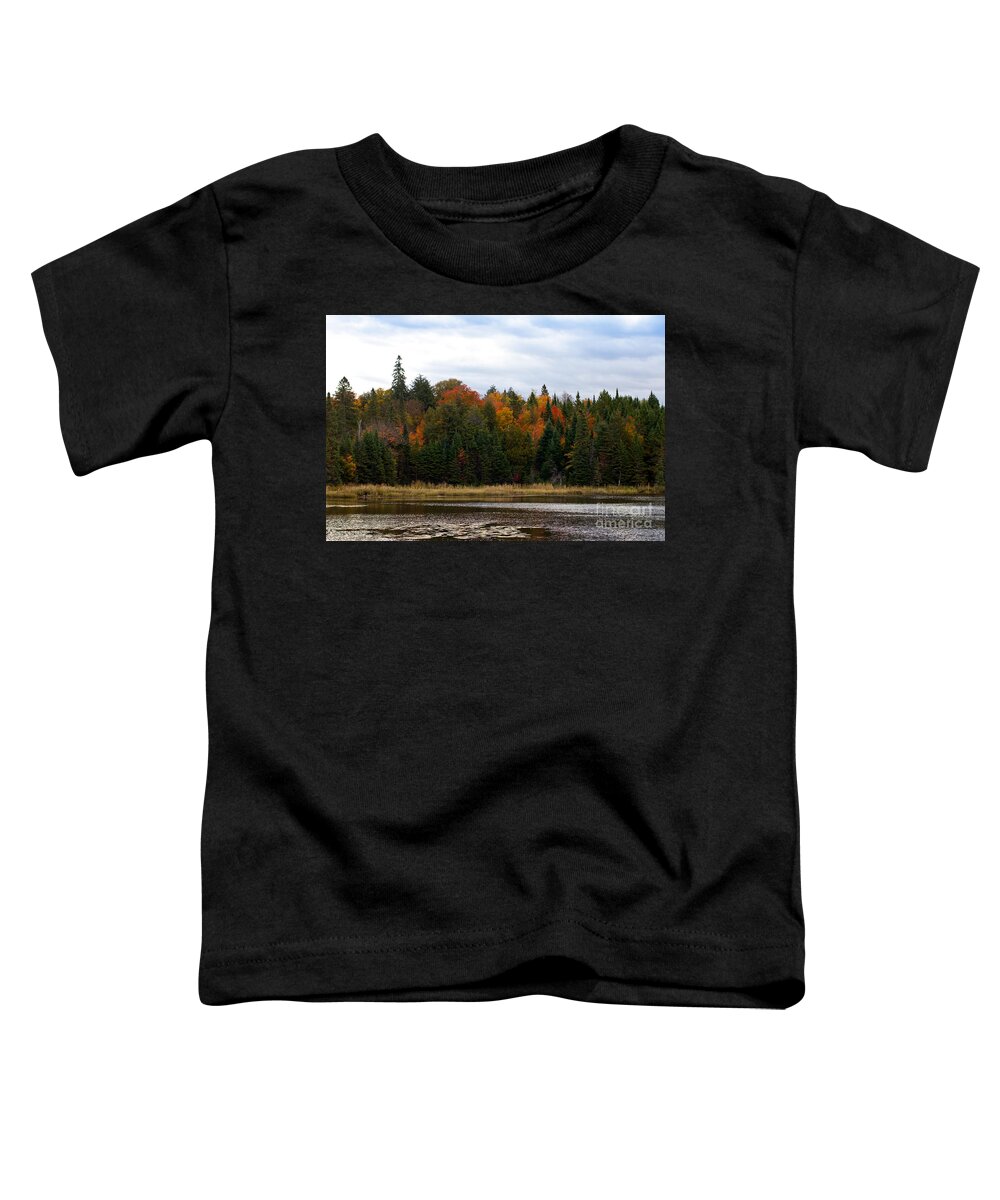 Colorful Toddler T-Shirt featuring the photograph Algonquin Park in fall by Les Palenik