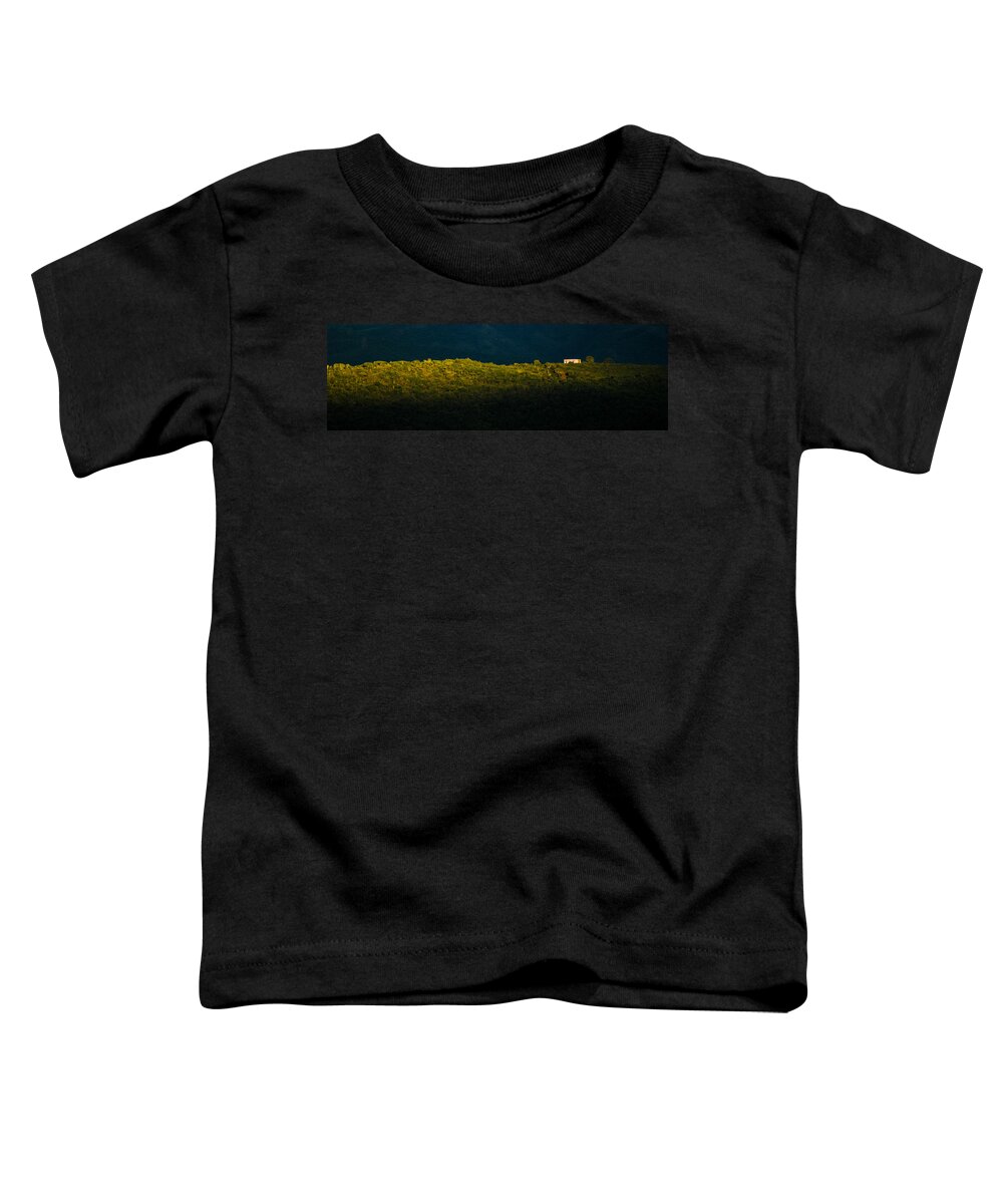 Africa Toddler T-Shirt featuring the photograph Alone home by Alistair Lyne