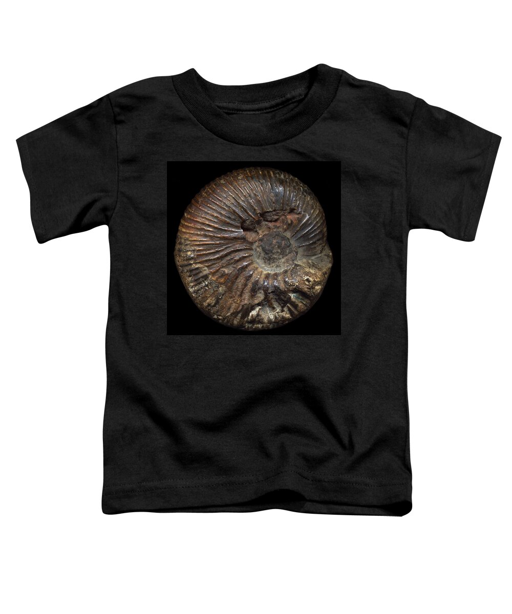 Fossil Toddler T-Shirt featuring the photograph Ammonite Front by David Kleinsasser