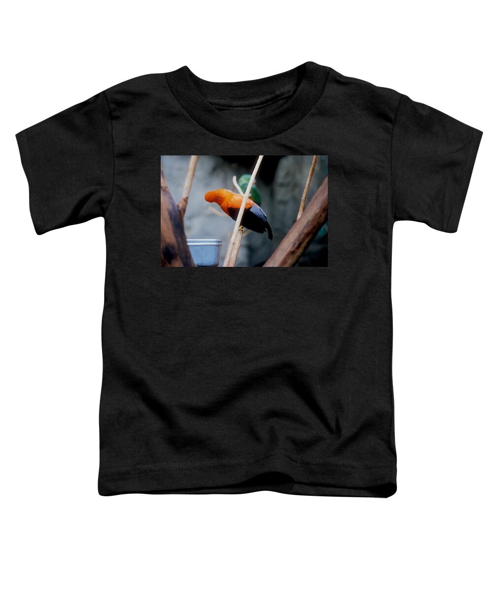 National Aquarium Toddler T-Shirt featuring the photograph Andean Cock-of-the-rock by Mark Dodd