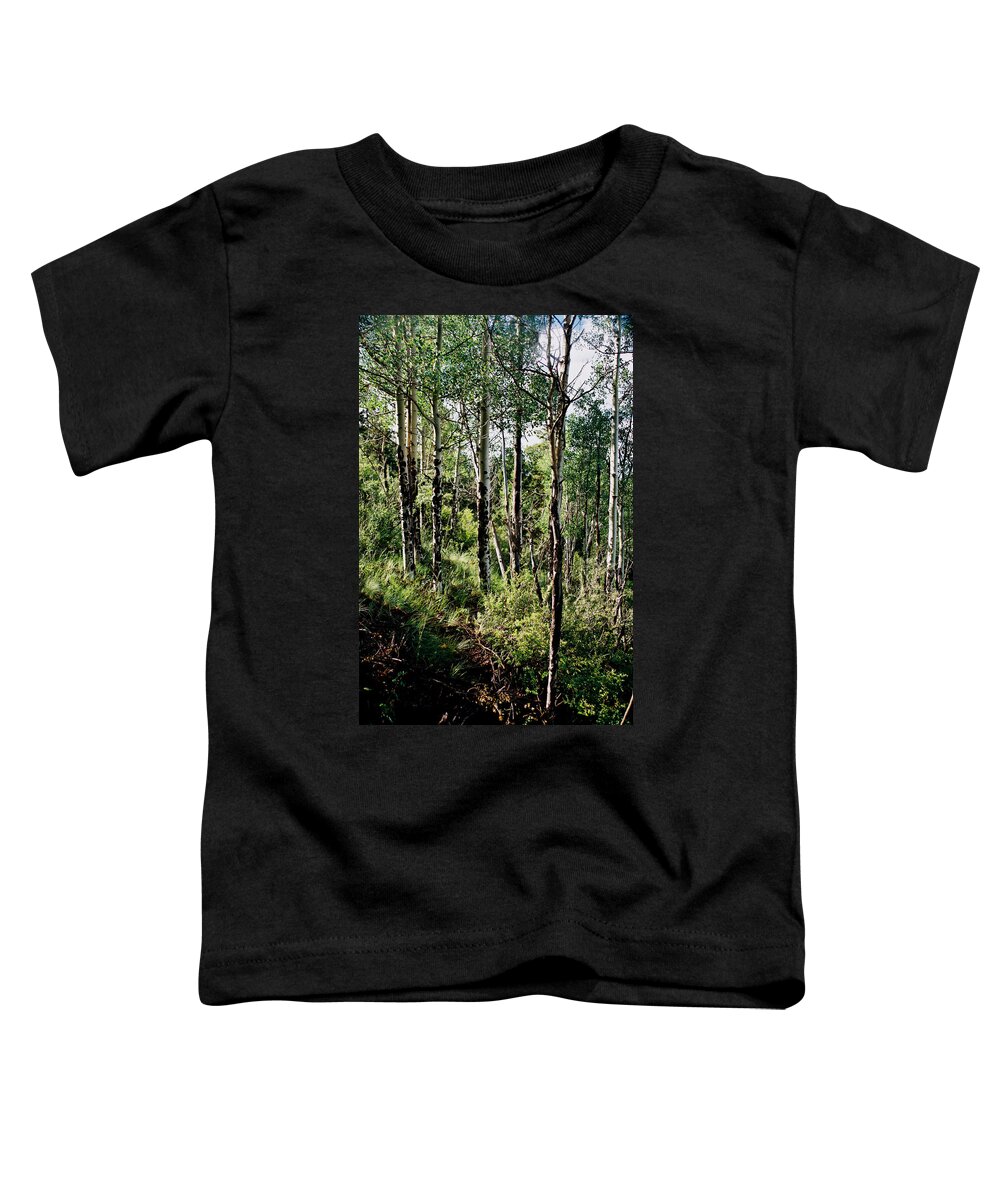 Red River Toddler T-Shirt featuring the photograph Aspens At First Light by Ron Weathers