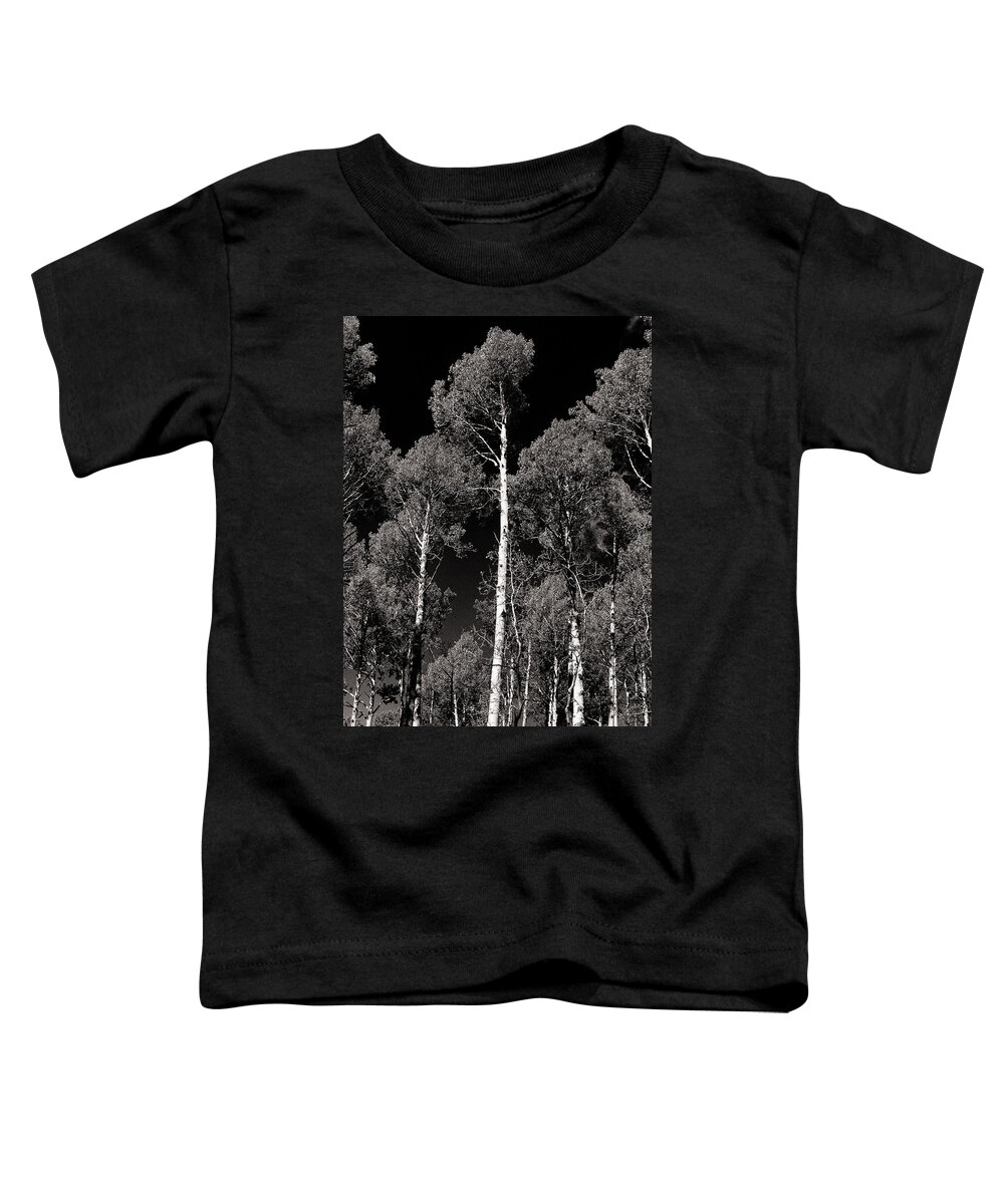 Aspen Toddler T-Shirt featuring the photograph Aspens in Black and White by Joshua House