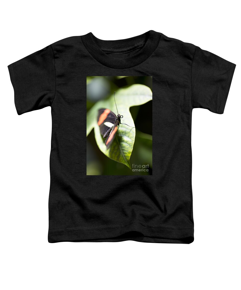 Butterfly Toddler T-Shirt featuring the photograph Attention by Leslie Leda