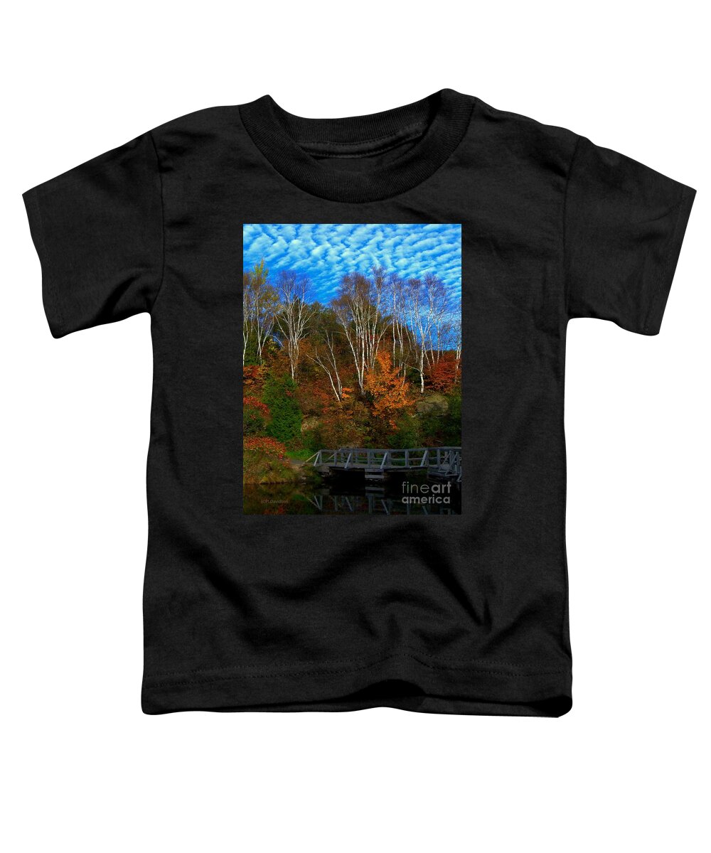 Autumn Toddler T-Shirt featuring the photograph Autumn Birch Reflections by Pat Davidson