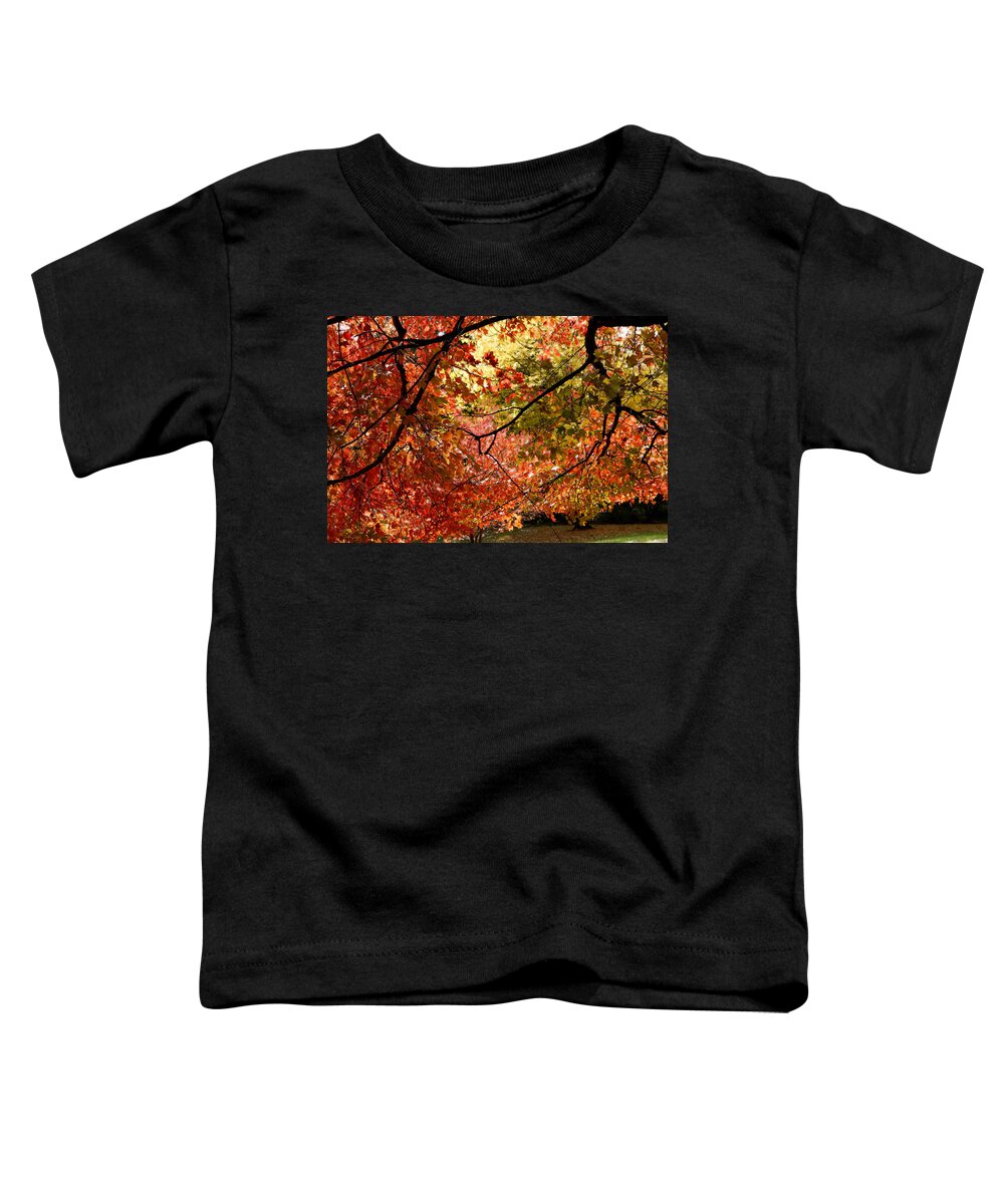 Autumn Toddler T-Shirt featuring the photograph Autumn Leaves by KG Thienemann