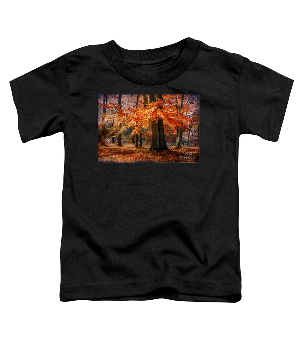 Autumn Toddler T-Shirt featuring the photograph autumn skirt III by Hannes Cmarits