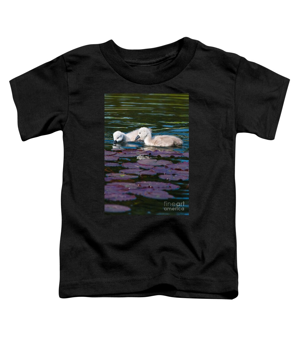 Baby Toddler T-Shirt featuring the photograph Baby swans on Lily pods by Andrew Michael