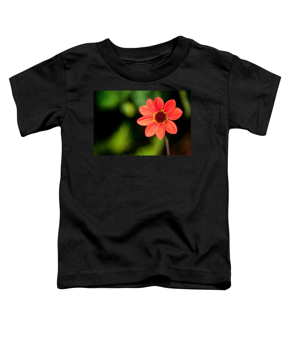 Flora Toddler T-Shirt featuring the photograph Be Happy to be Individual by Lynne Jenkins