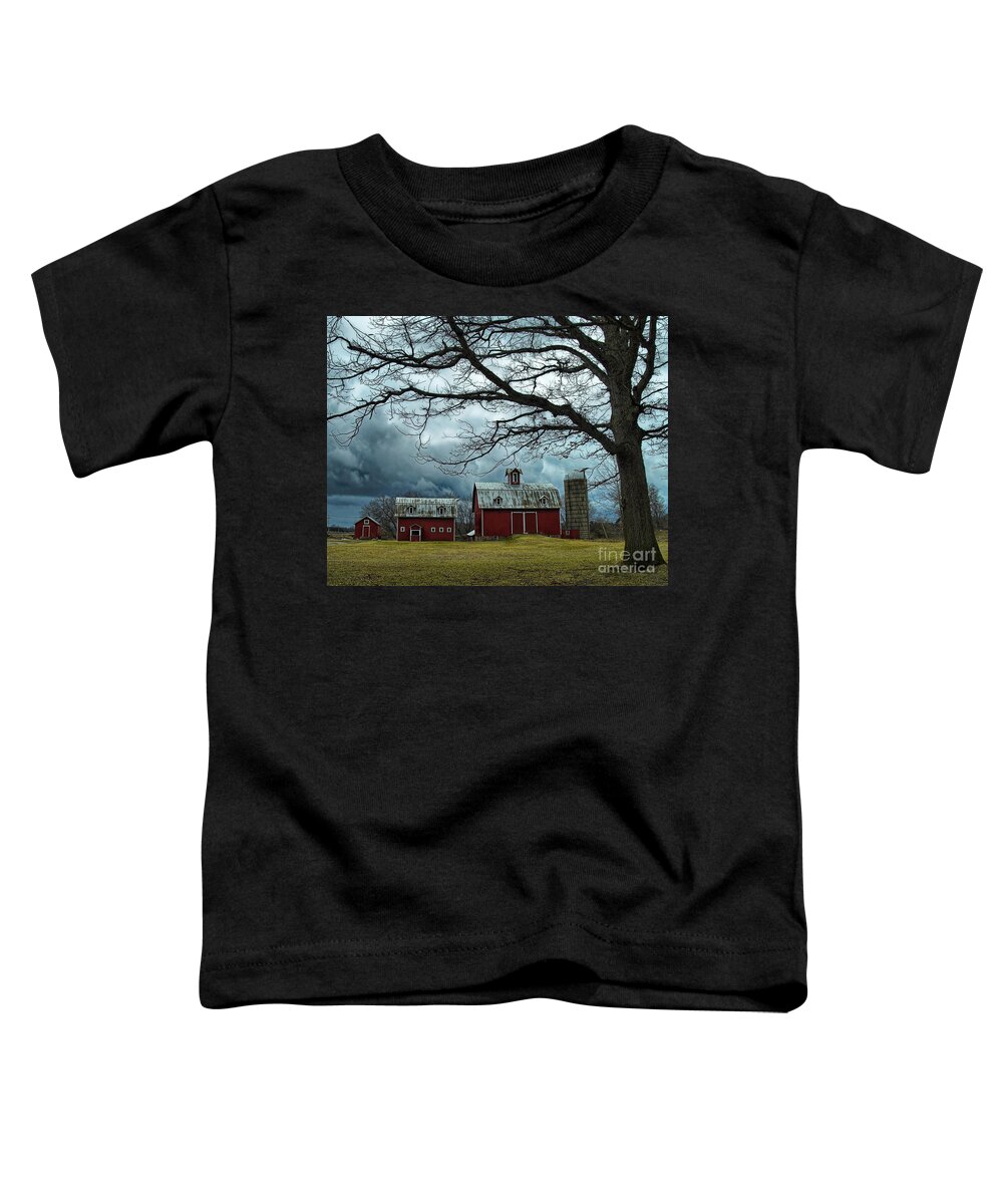 Farm Toddler T-Shirt featuring the photograph Bell's Farm by Terry Doyle