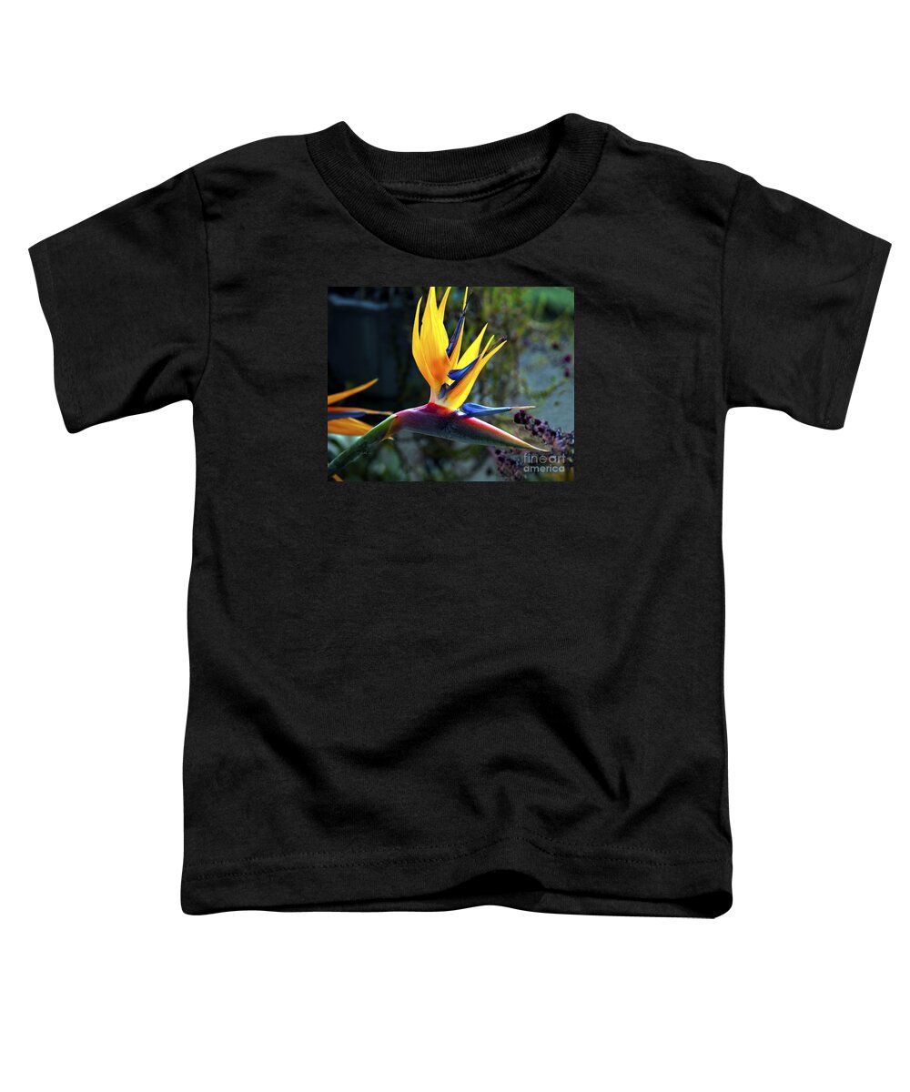 Fine Art Photography Toddler T-Shirt featuring the photograph Bird of Paradise by Patricia Griffin Brett