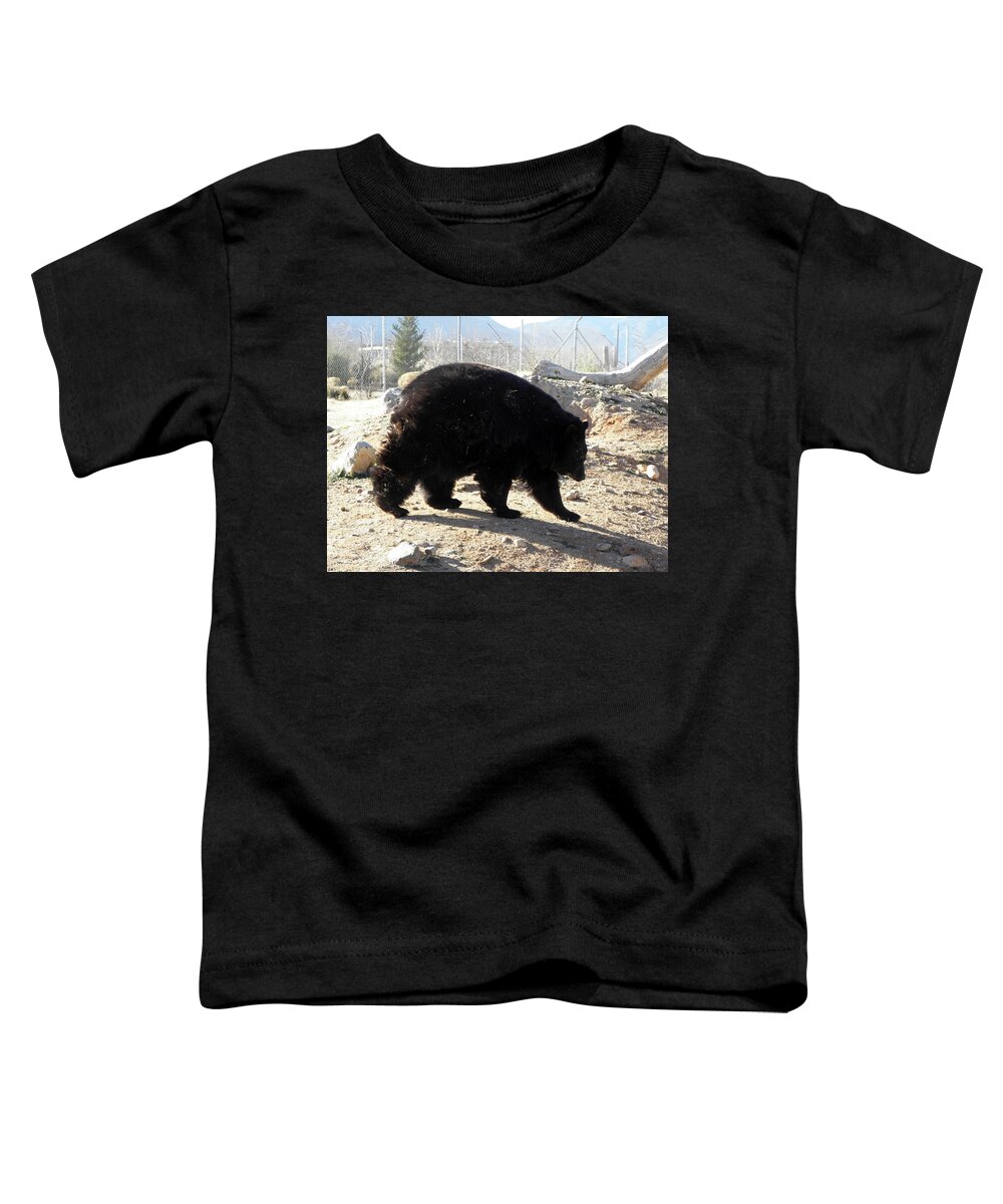 Black Toddler T-Shirt featuring the photograph Black Bear by Kim Galluzzo