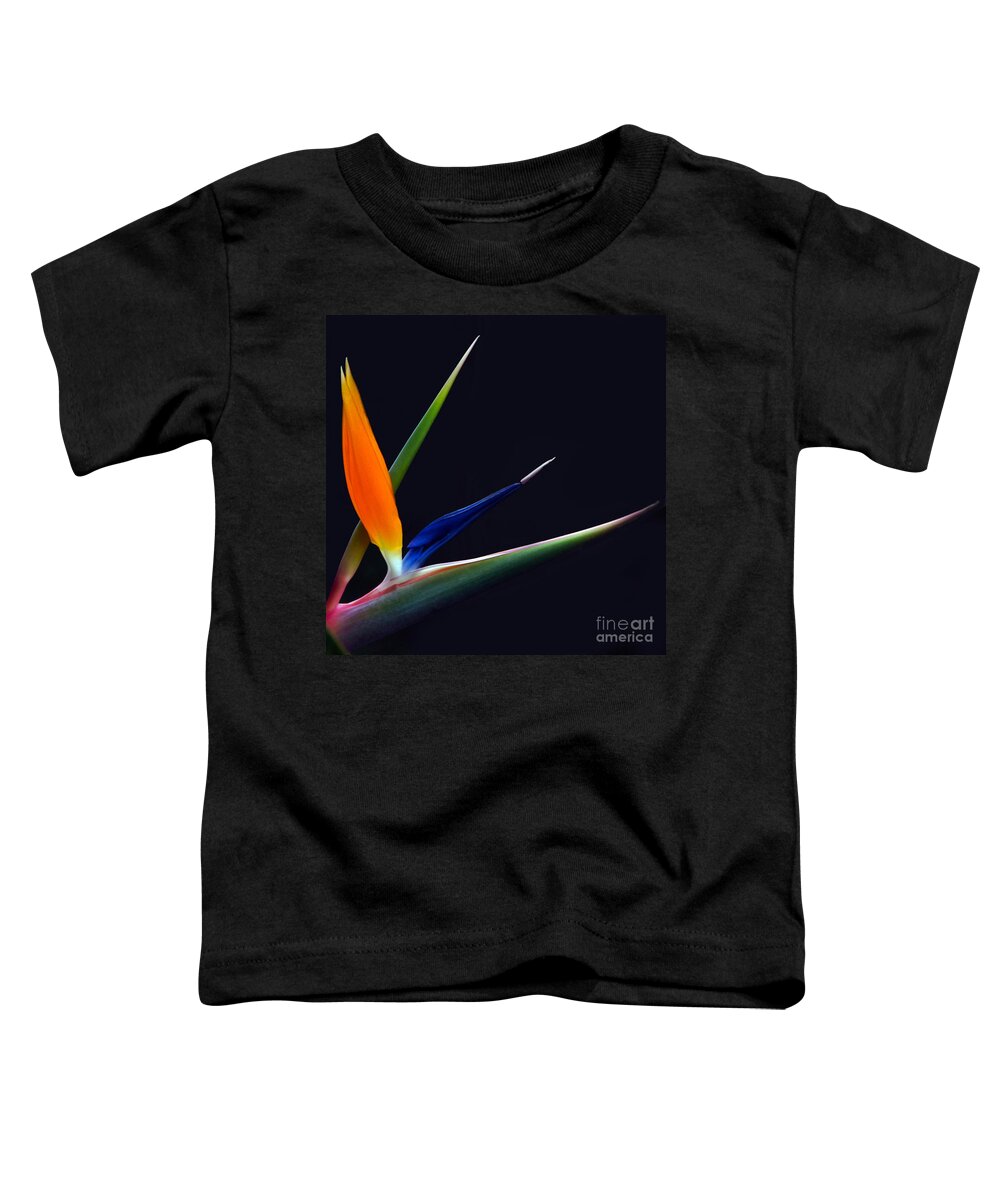 Strelitzia Toddler T-Shirt featuring the photograph Bright Bird of Paradise square frame by Byron Varvarigos