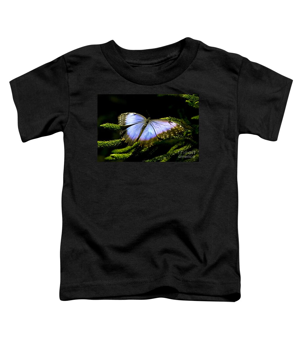 Butterfly Toddler T-Shirt featuring the photograph Bright Blue by Leslie Leda