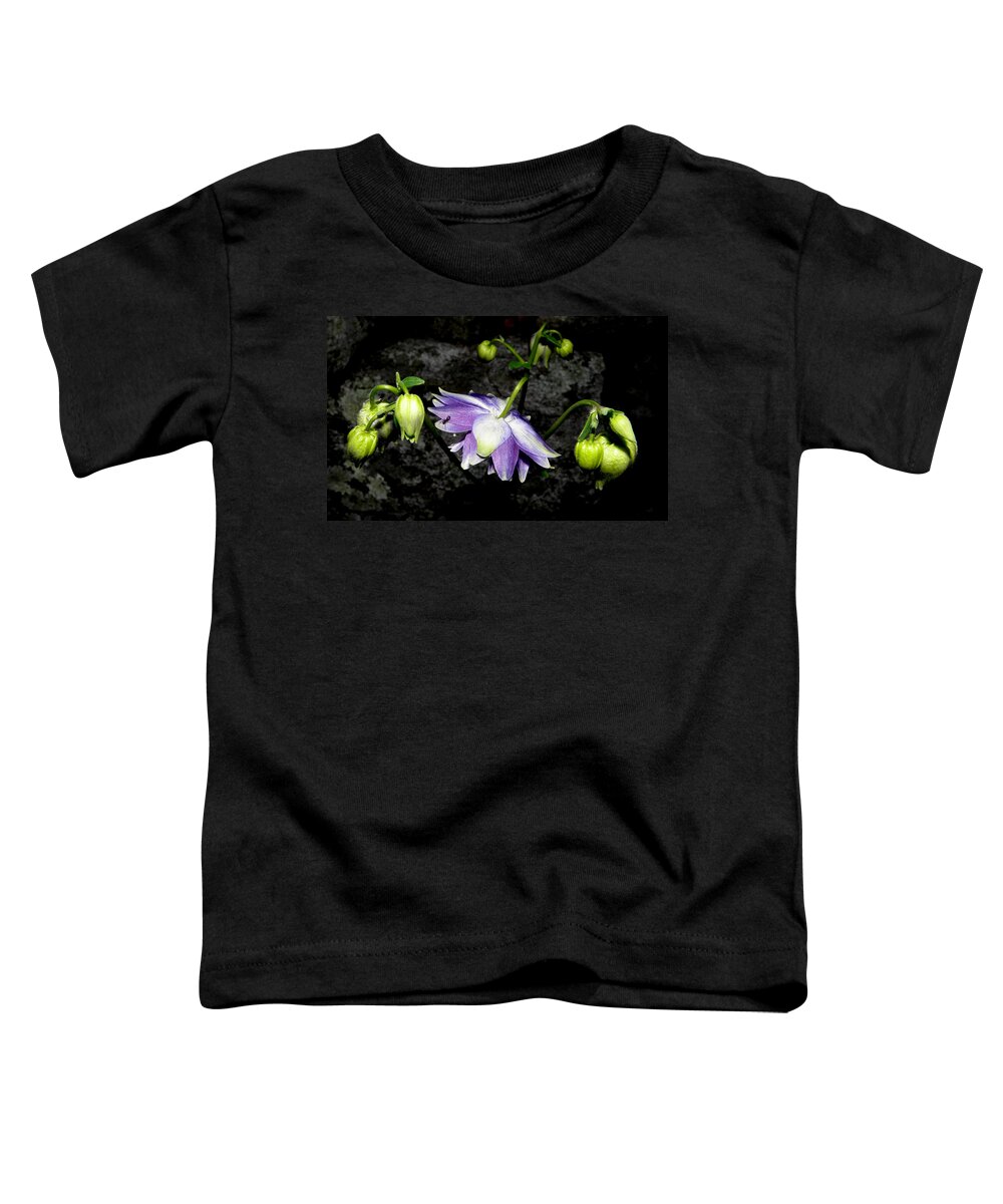 Purple Flower Toddler T-Shirt featuring the photograph Bursting Columbine by Kim Galluzzo