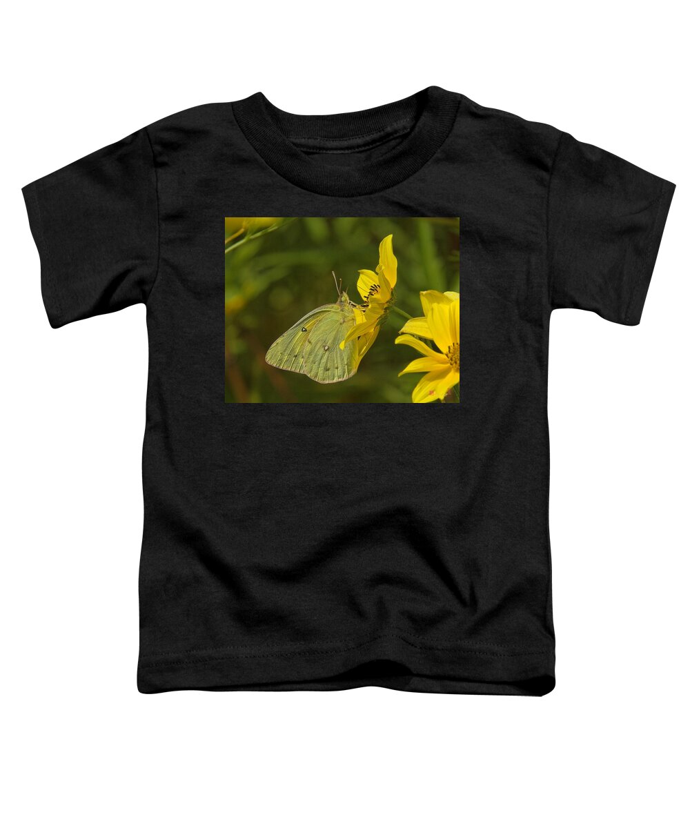 Nature Toddler T-Shirt featuring the photograph Clouded Sulphur Butterfly DIN099 by Gerry Gantt