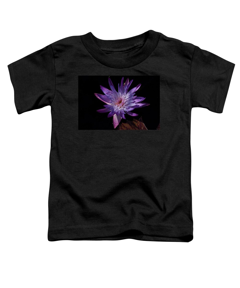 Brazillian Water Lilly Toddler T-Shirt featuring the photograph Dark Beauty by Joseph Yarbrough