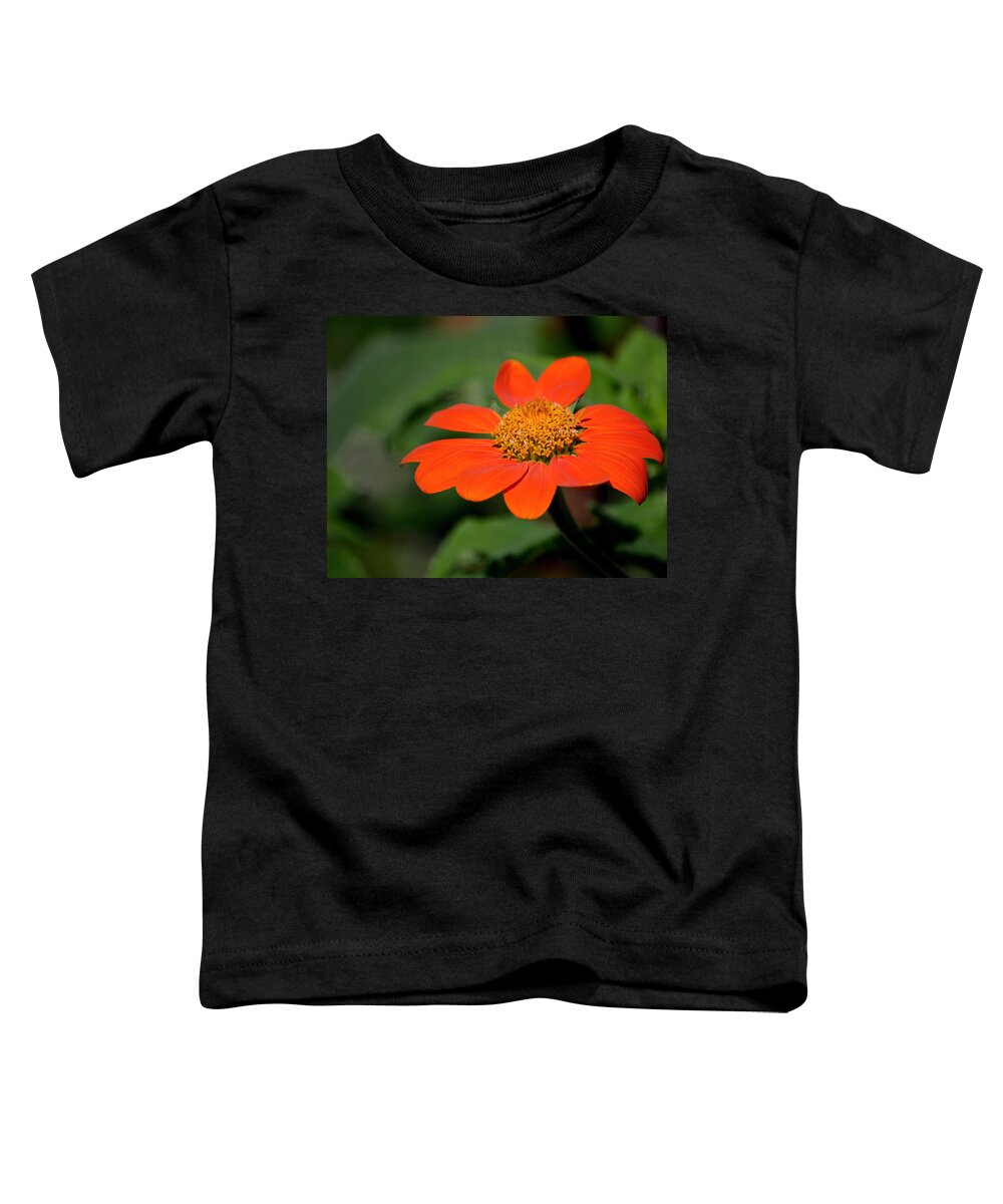 Flower Toddler T-Shirt featuring the photograph Discovering the Seed by Melanie Moraga