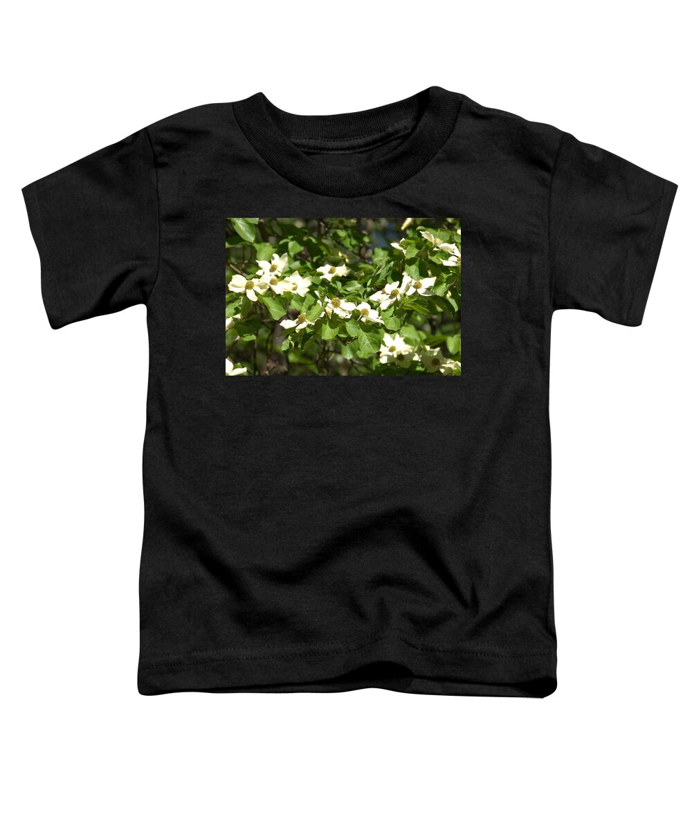 Yosemite Toddler T-Shirt featuring the photograph Dogwoods in Yosemite by Lynn Bauer