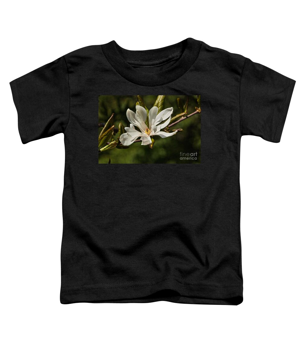 Magnolia Stellata Toddler T-Shirt featuring the photograph Easter Star by Byron Varvarigos