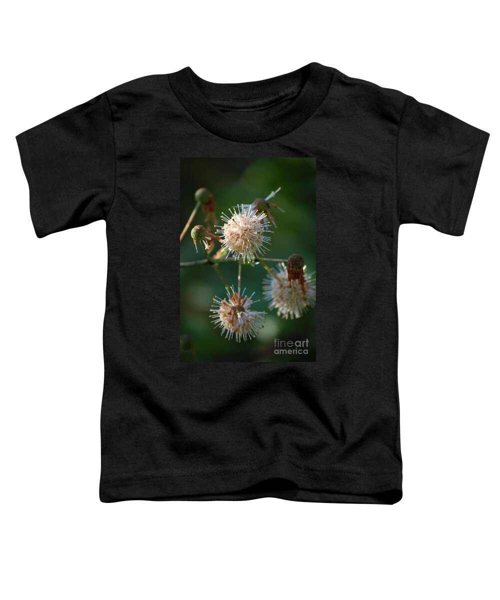 Buttonbush Toddler T-Shirt featuring the photograph Fallen Flowers by Robert Meanor