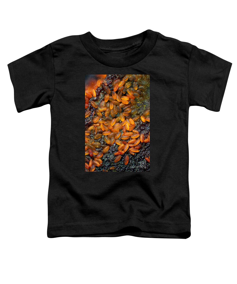 Science Toddler T-Shirt featuring the photograph Flower Pollen Lm by Ted Kinsman