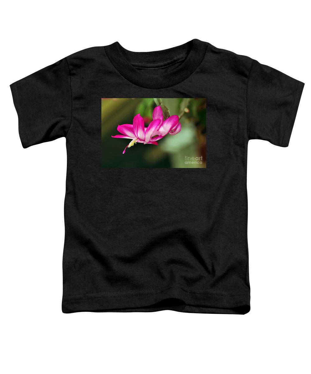 Flying Cactus Flower Toddler T-Shirt featuring the photograph Flying Cactus Flower by Kaye Menner