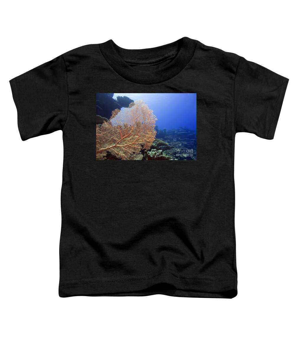 Landscape Toddler T-Shirt featuring the photograph Giant Gorgonian coral by MotHaiBaPhoto Prints