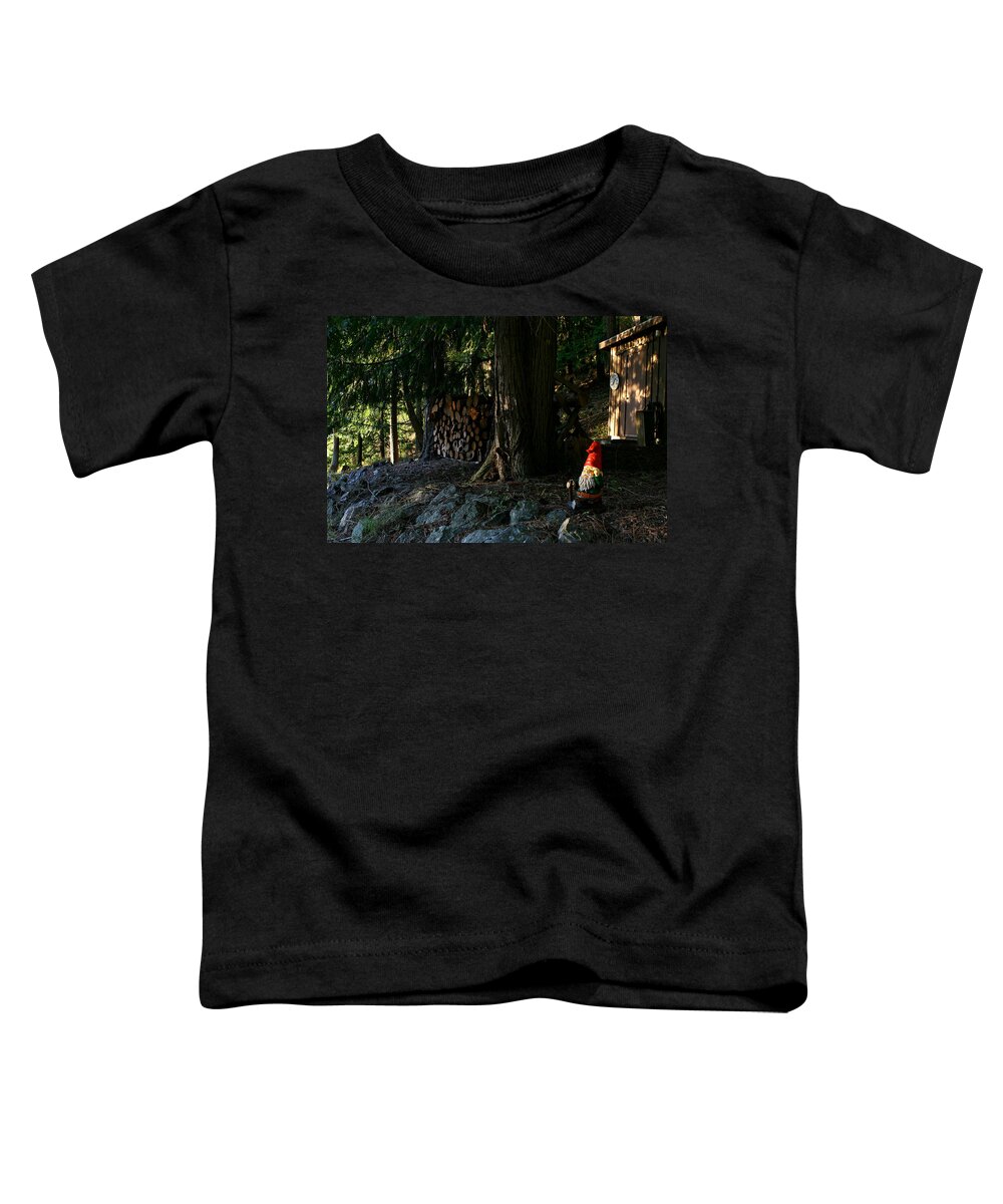 Gnome Toddler T-Shirt featuring the photograph Gnome and the Woodpile by Lorraine Devon Wilke