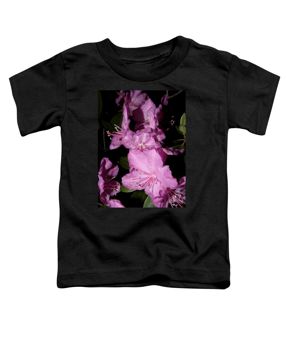 Purple Azalea Toddler T-Shirt featuring the photograph I see purple by Kim Galluzzo