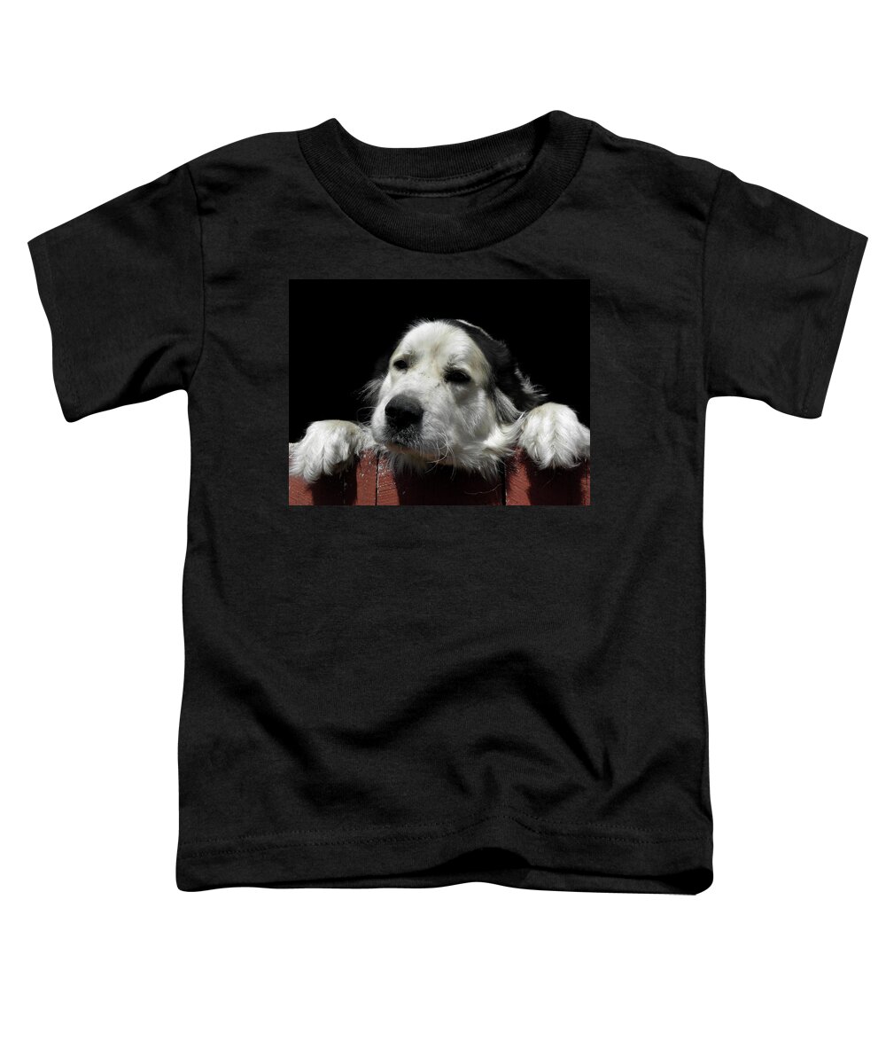 Dog Toddler T-Shirt featuring the photograph I want to play by Kim Galluzzo