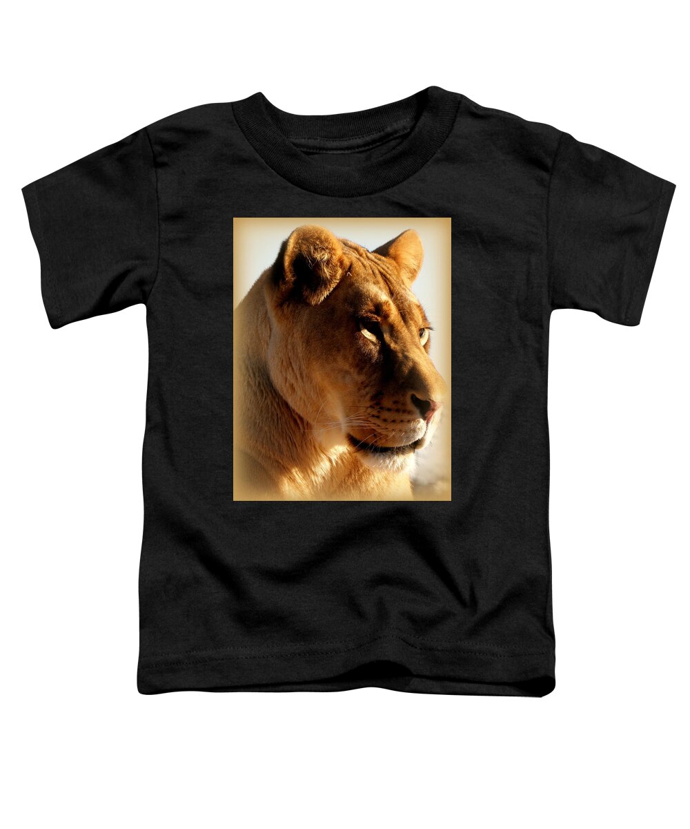 Lion Toddler T-Shirt featuring the photograph In a stare down by Kim Galluzzo