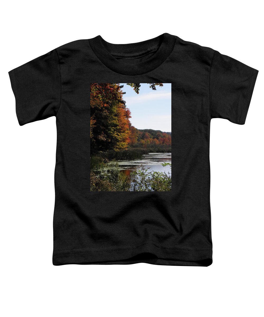 Autumn Toddler T-Shirt featuring the photograph Just simple Beauty by Kim Galluzzo