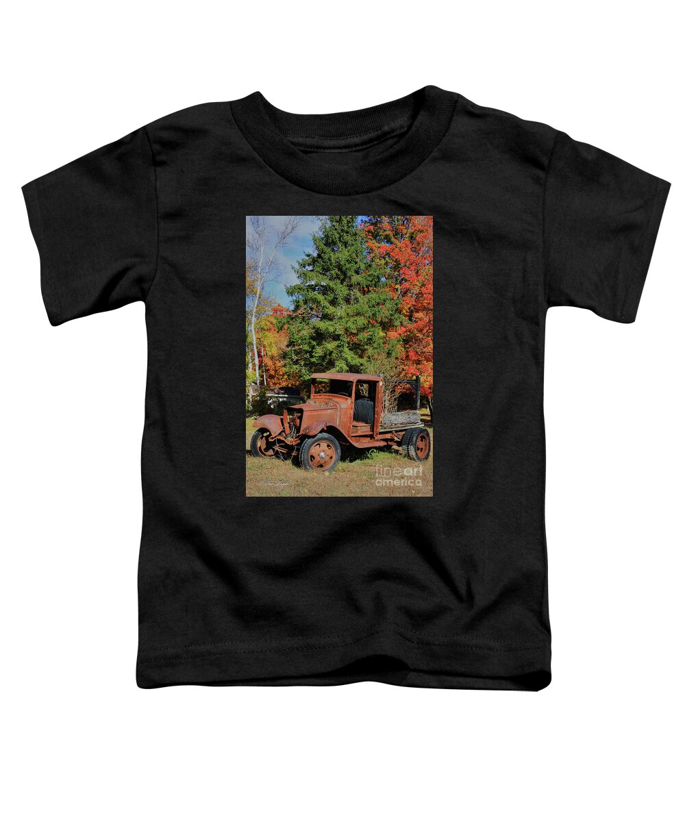 Connecticut Toddler T-Shirt featuring the photograph Left Outside by Sue Karski
