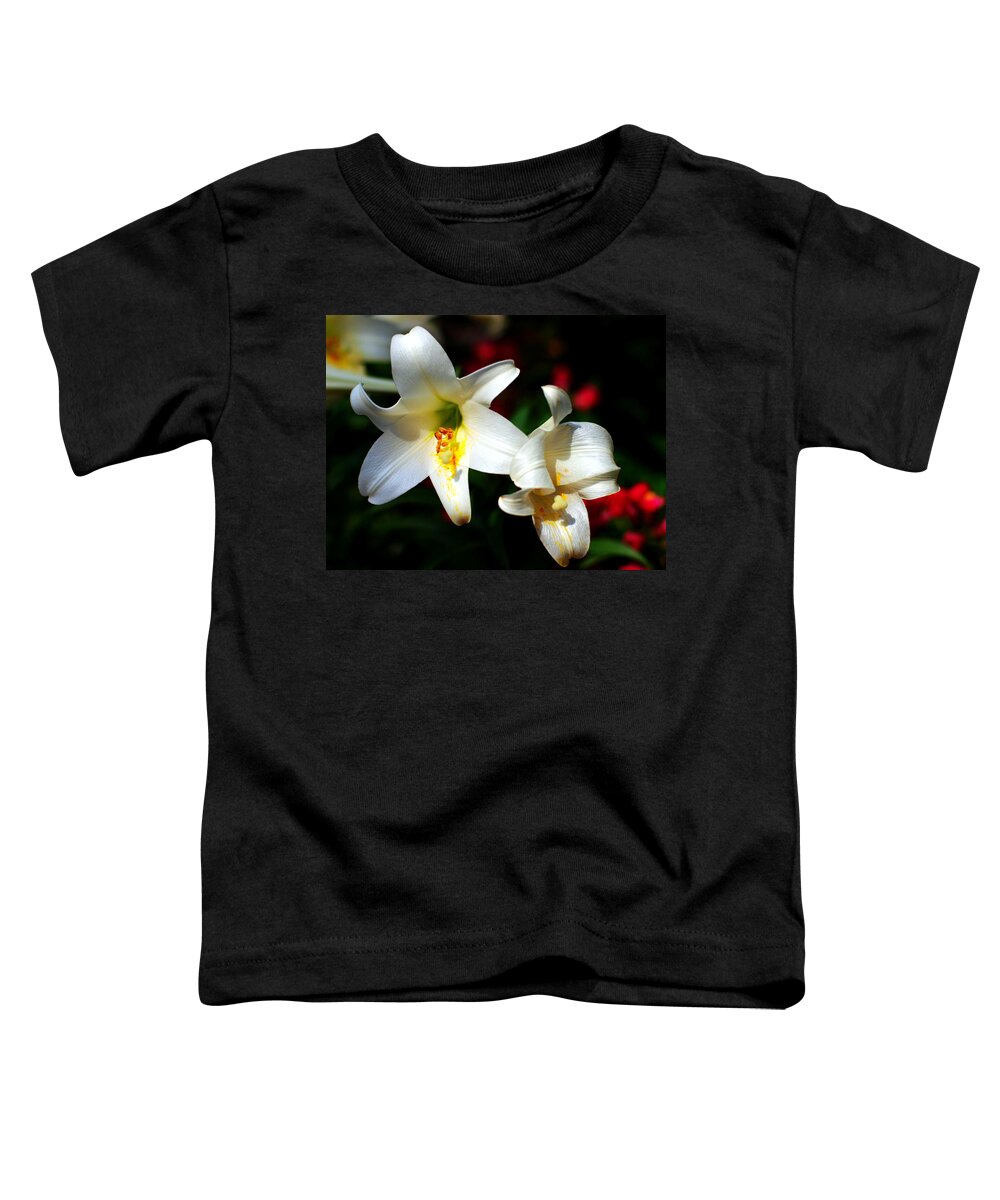 Lilium Toddler T-Shirt featuring the photograph Lilium longiflorum flower by Paul Ge