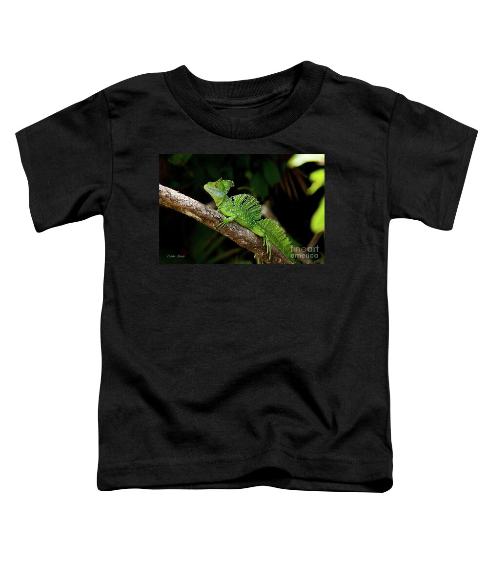 Costa Rica Toddler T-Shirt featuring the photograph Lizard on a Stick by Sue Karski