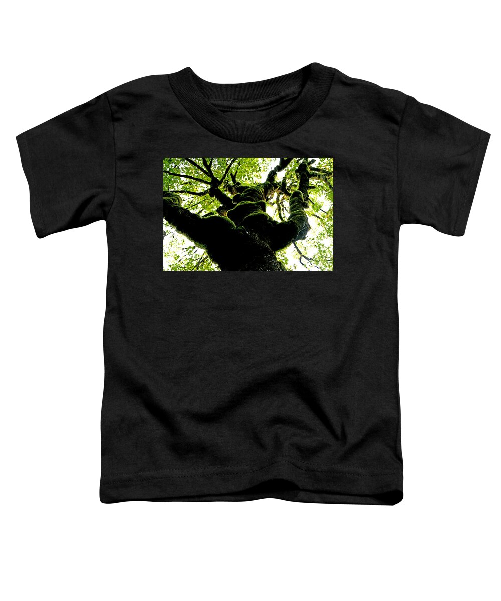 Tree Toddler T-Shirt featuring the photograph Look Up by Marie Jamieson