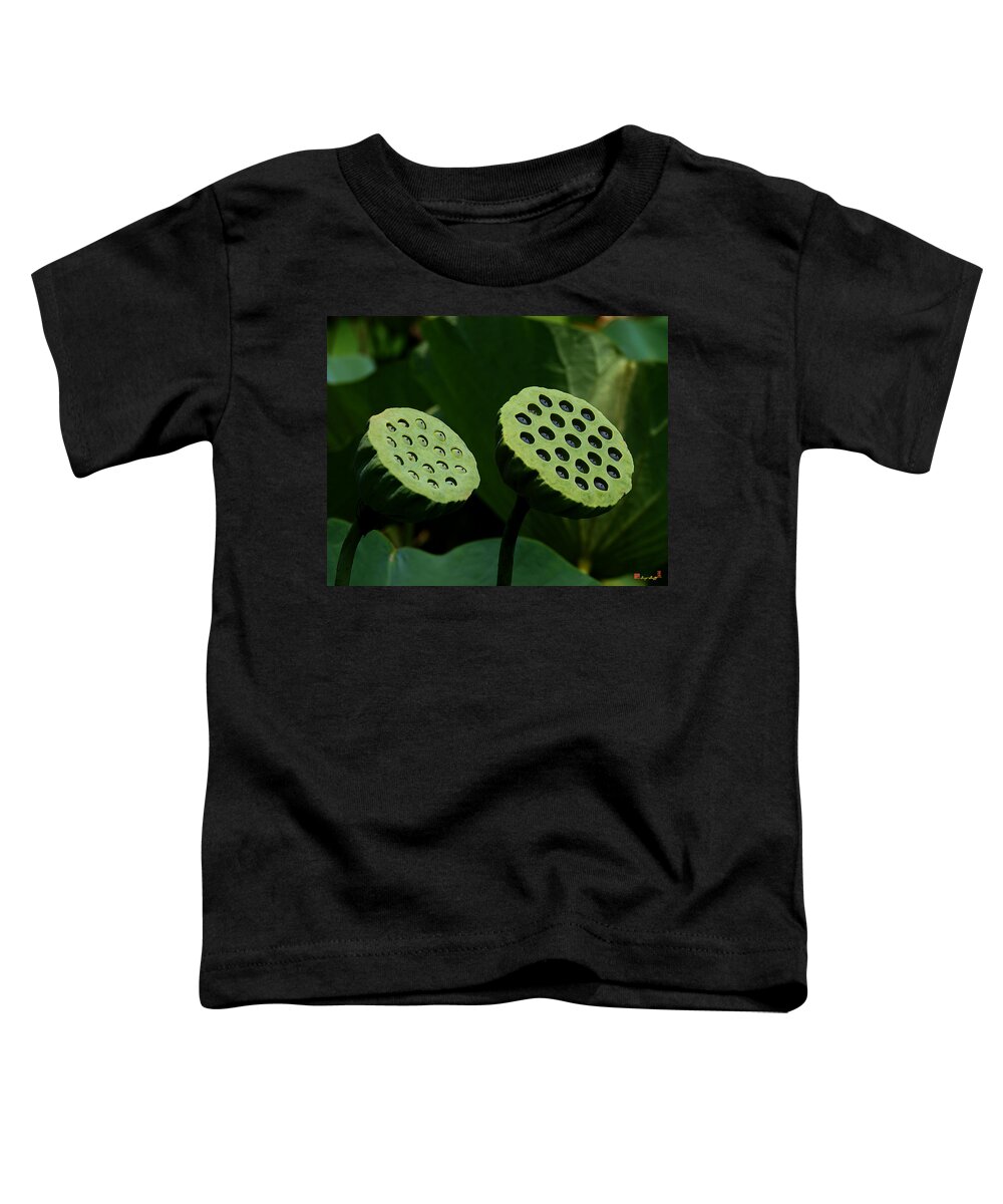 Nature Toddler T-Shirt featuring the photograph Lotus Capsules-Sun Worshipers DL052 by Gerry Gantt