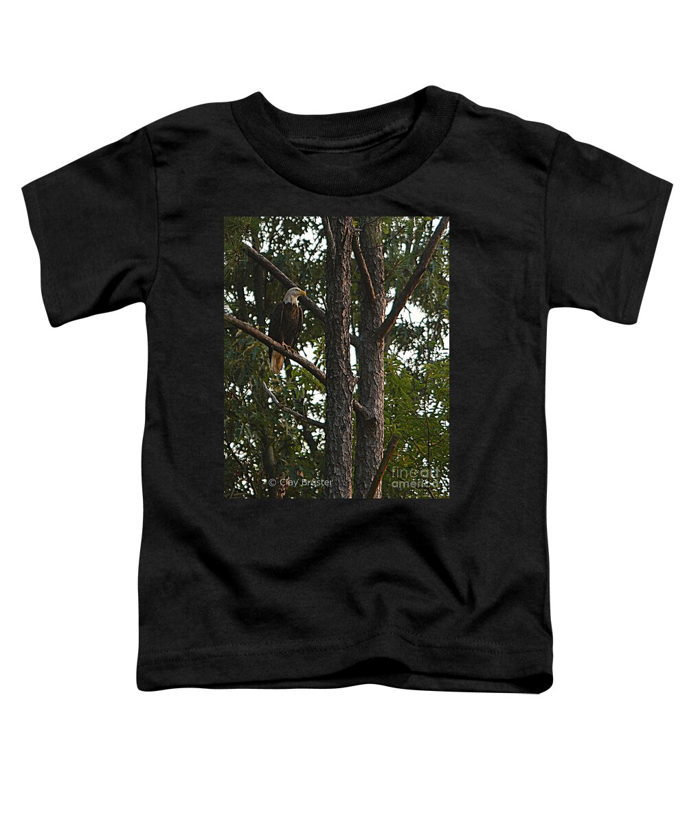 All Rights Reserved Toddler T-Shirt featuring the photograph Majestic Bald Eagle by Clayton Bruster